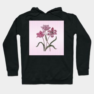 Maria Sibylla Merian: Three Tulips Hoodie